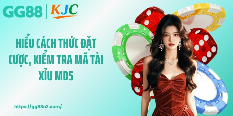 Hiểu cách thức đặt cược, kiểm tra mã tài xỉu MD5