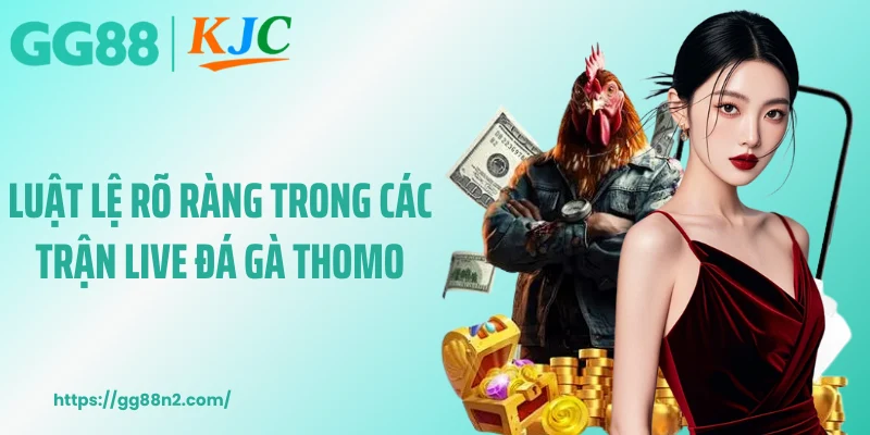 Luật lệ rõ ràng trong các trận live đá gà thomo